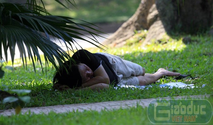 Một số người dân đến nằm ngủ trưa dưới tán cây trong công viên Bách Thảo